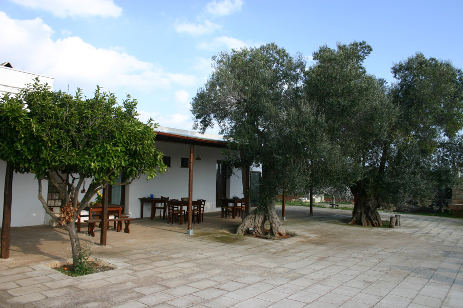 Azienda Agrituristica
Patù (Lecce)